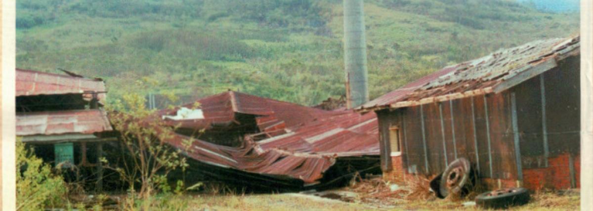 轉型與重建時期