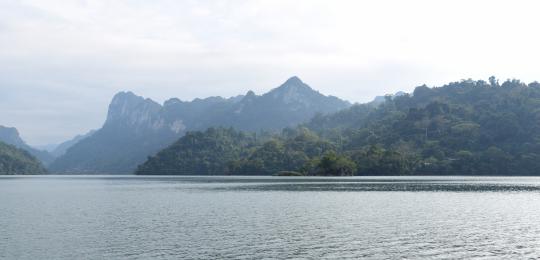 遍行千山水 唯探秋海棠