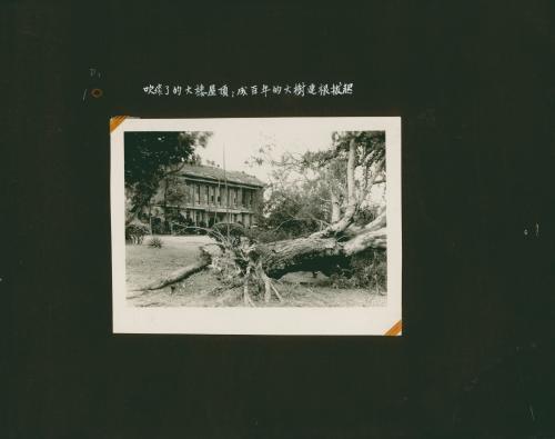 颱風後糖業試驗所內建築物