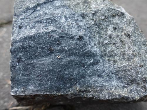 青磐岩化安山岩中黑色鐵鎂礦物清晰可見