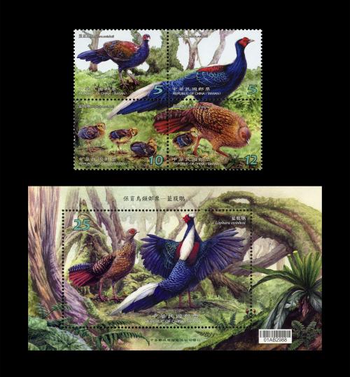 保育鳥類郵票-藍腹鷴