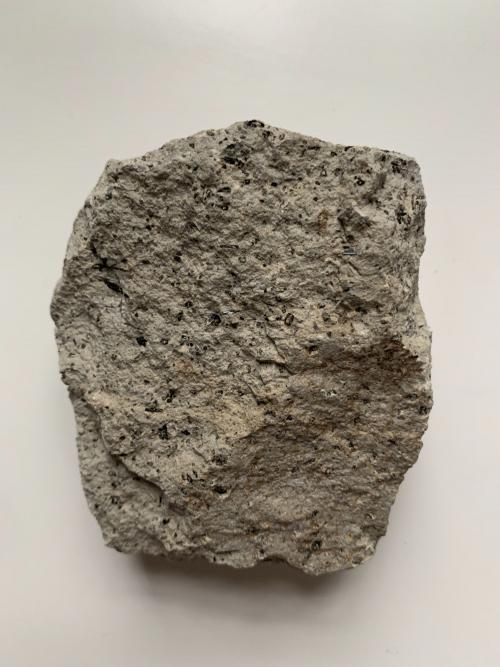 臺灣我的家-岩石標本-安山岩