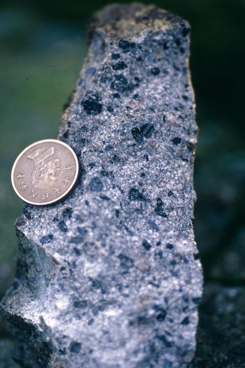 新鮮的安山岩可見斑晶礦物