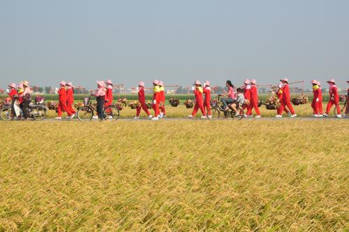 馬鳴山五年千歲_雲林土庫新莊慶安宮送王