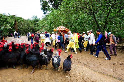 東山碧軒寺迎佛祖暨遶境_東山迎佛祖