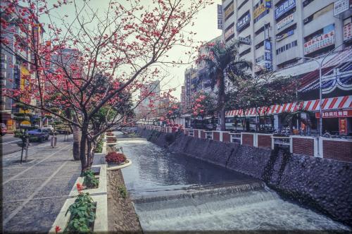 綠川-同心花園