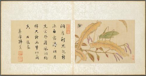 Album of Miscellaneous Subjects, Leaf 7