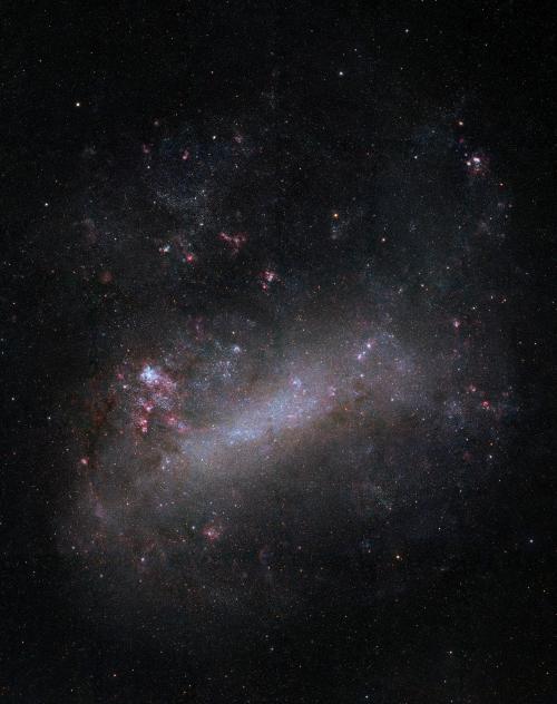 Large Magellanic Cloud