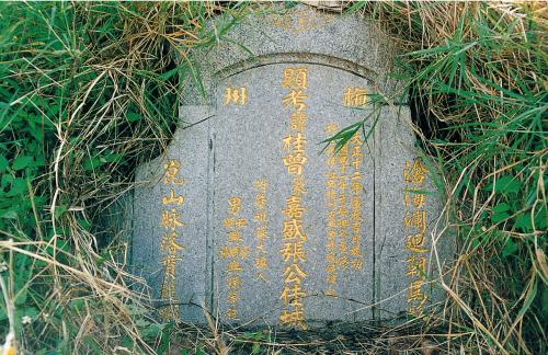 張彩湘祖父桂曾公陵墓