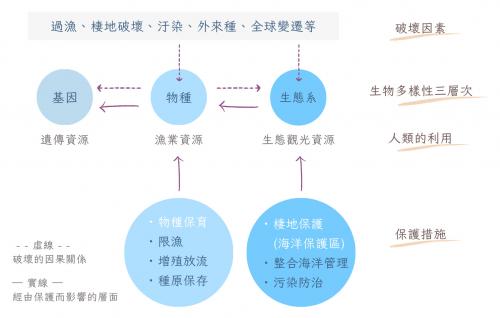 唯有保護海岸自然棲地與整合管理海洋生物資源才能永續利用