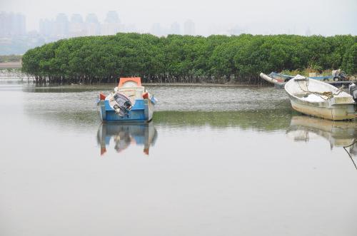 淡水河口紅樹林