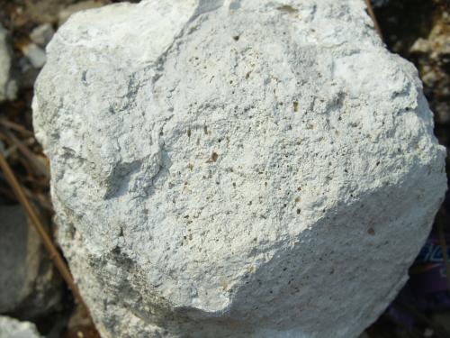 新鮮黏土化安山岩顏色呈白色