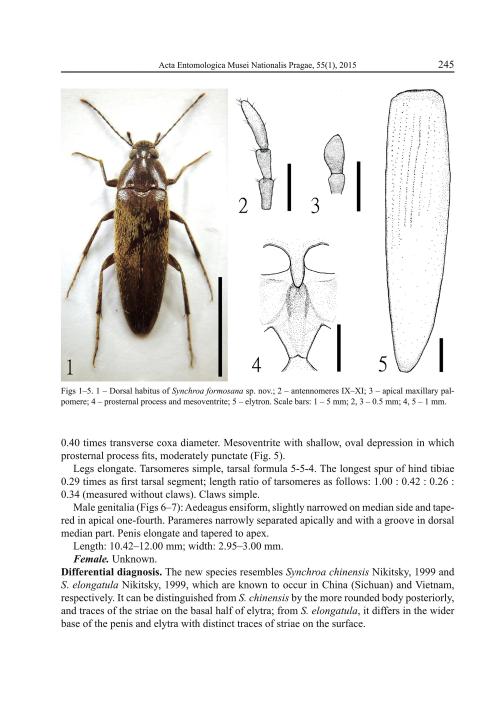 蓬萊長扁朽木蟲的學名發表文獻