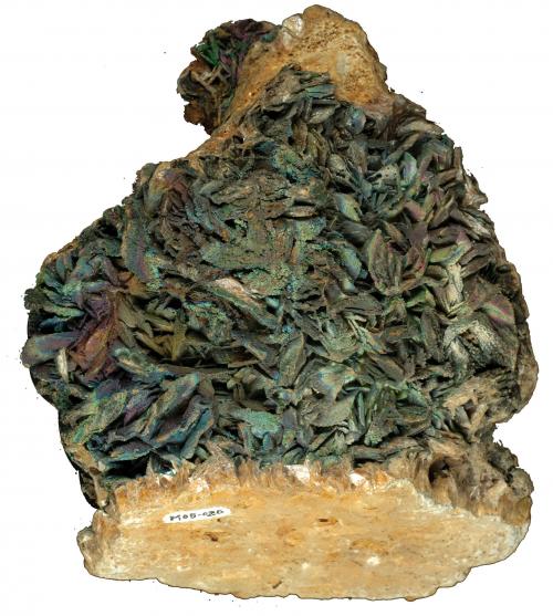 金瓜石的明礬石常以片狀外形生長