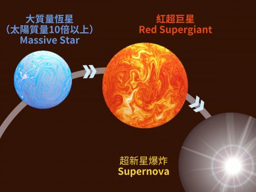 大質量恆星演化為紅超巨星