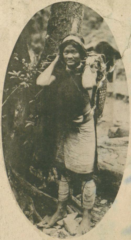 泰雅族婦女耕作