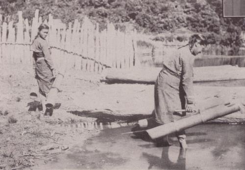 鄒族婦女挑水