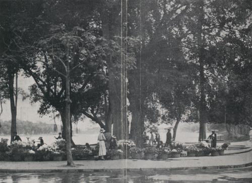 1940年代河內路樹花園