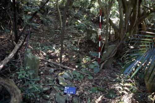 萬里得山遺址田野照片