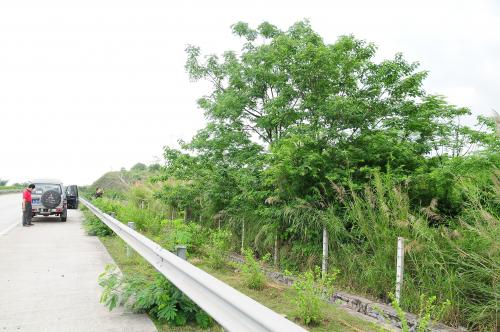 中國廣東田野調查