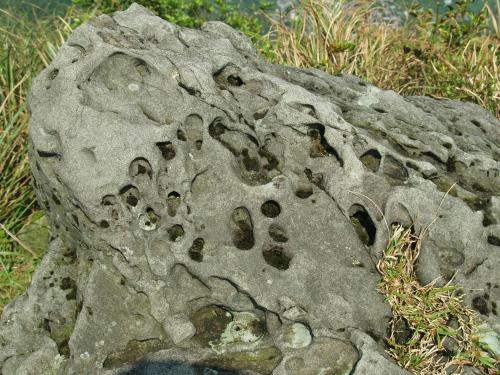 矽化砂岩中的蜂窩狀構造
