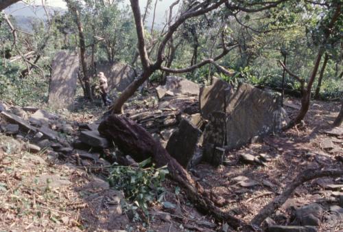 四林格山遺址田野照片