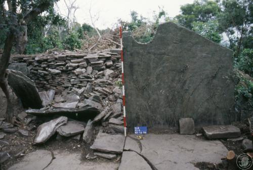 四林格山遺址田野照片