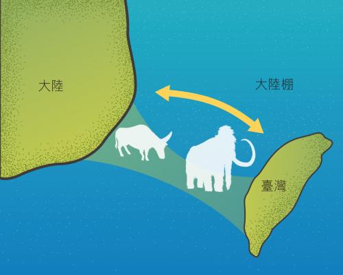 澎湖動物群化石形成圖