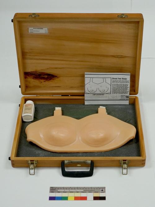 乳房檢查模型(含盒)