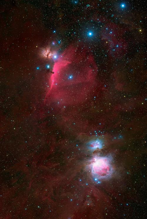 The Orion Nebula and Horse Head Nebula