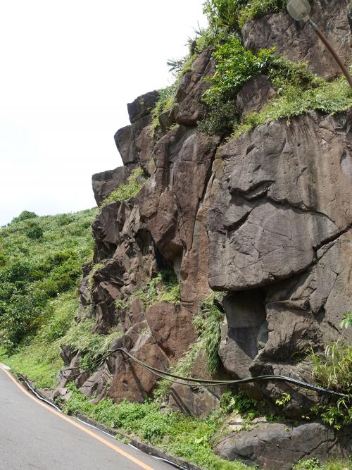 基隆山下的安山岩露頭