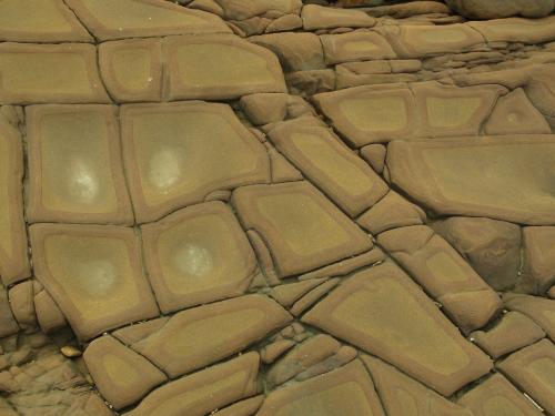 河川中砂岩的節理縫內經常容易聚集砂金