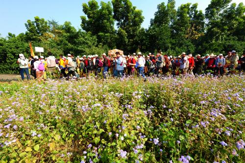 東山碧軒寺迎佛祖暨遶境_東山迎佛祖