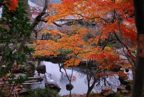 Hasedera Temple in Kamakura