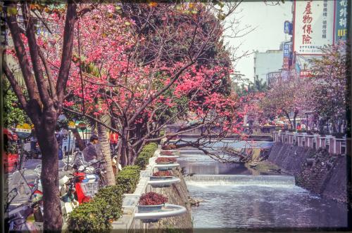 綠川-同心花園