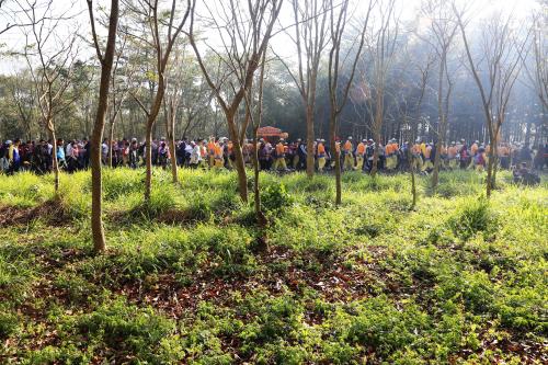 東山迎佛祖_東山佛祖行經田野2