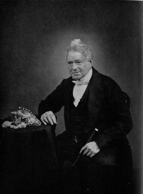 Hugh Cuming（1791-1865）