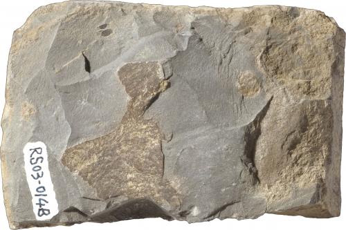 頁岩的礦物顆粒很小，因此孔隙也極微小