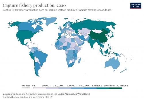 2020年全球捕撈漁業生產