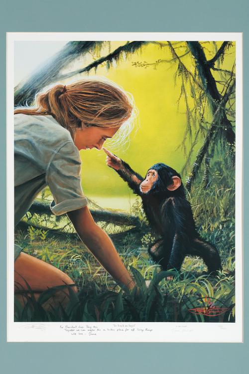珍古德與猩猩限量海報(Jane Goodall and Chimpanzee Limited Edition Poster)