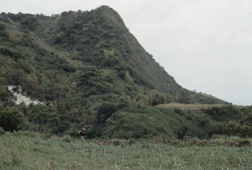 東河北II遺址