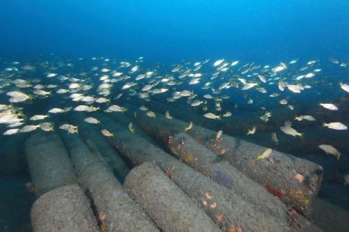 人工魚礁—花蓮順安電桿礁
