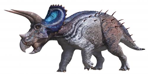 三角龍Triceratops