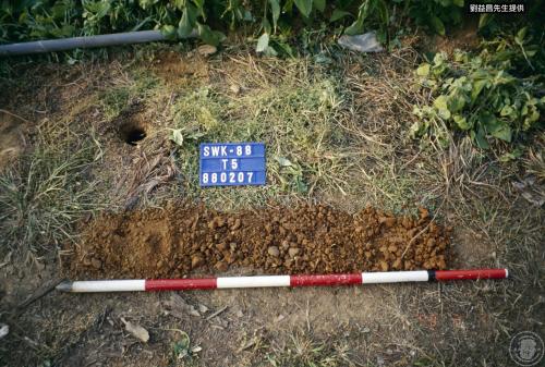 水蛙堀遺址田野照片