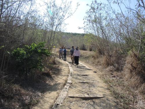 龜山遺址田野照片