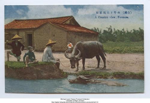 （臺灣）水牛和土塊家屋