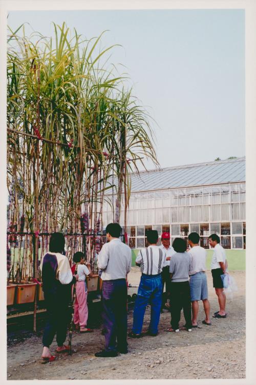 1998年12月20日萬丹實驗場「萬丹采風巡禮文化活動」