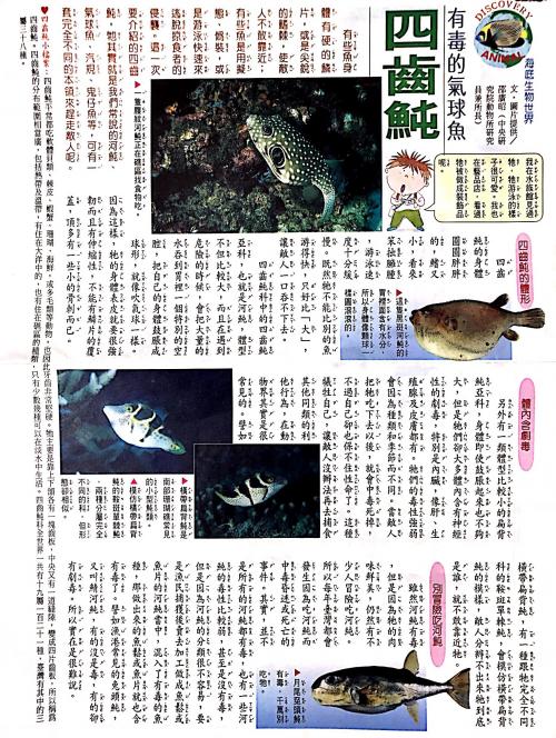 國語日報—海底生物世界：四齒純