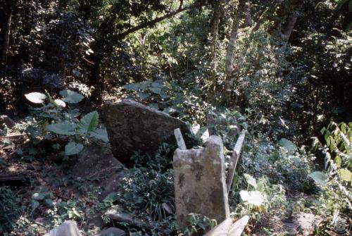 南仁山遺址田野照片