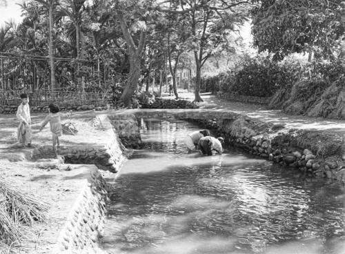 余如季採訪隨影（中部農村）